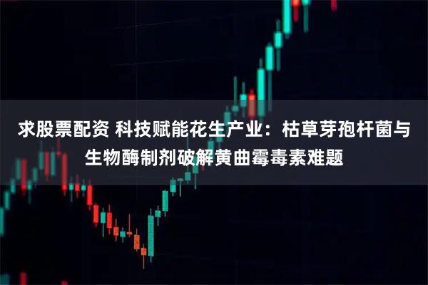 求股票配资 科技赋能花生产业：枯草芽孢杆菌与生物酶制剂破解黄曲霉毒素难题