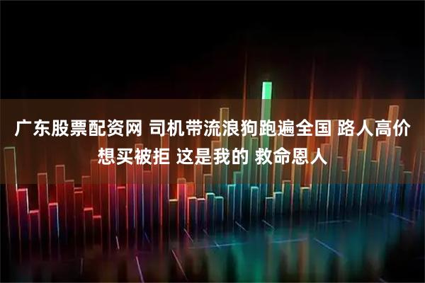 广东股票配资网 司机带流浪狗跑遍全国 路人高价想买被拒 这是我的 救命恩人